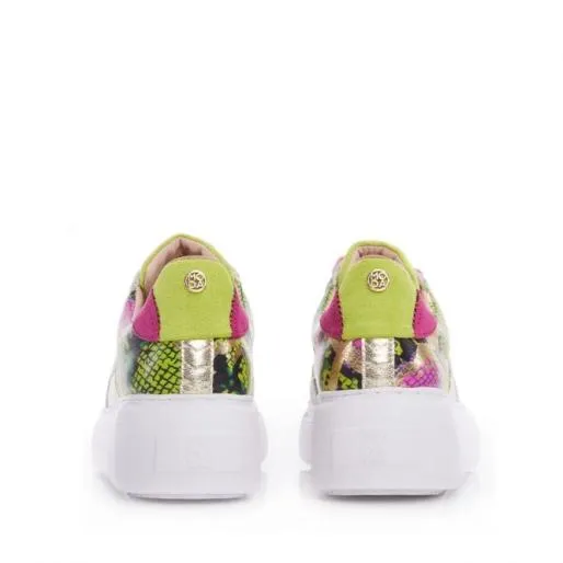 Avabelle Lime Green Snake Print Leather Women Moda In Pelle Platform Trainers Avabelle Lime Green Snake Print Leather Women Moda In Pelle Platform Trainers
