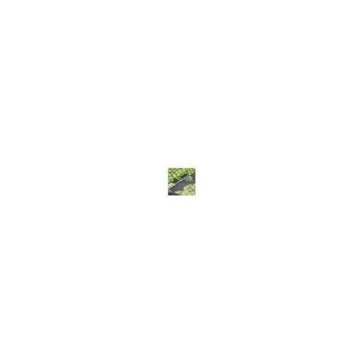 Avabelle Lime Green Snake Print Leather Women Moda In Pelle Platform Trainers Avabelle Lime Green Snake Print Leather Women Moda In Pelle Platform Trainers