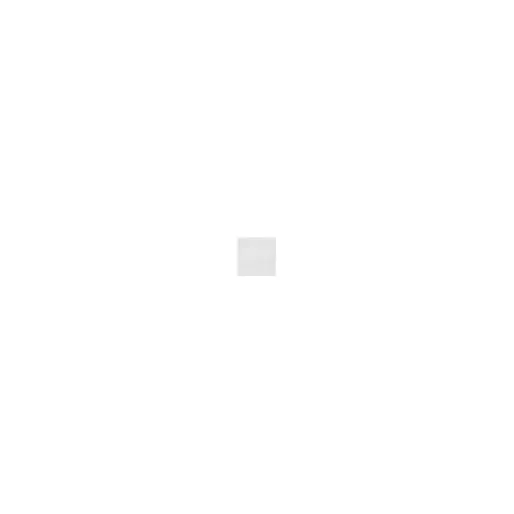 Bencina White Leather Women Moda In Pelle Casual Trainers Bencina White Leather Women Moda In Pelle Casual Trainers