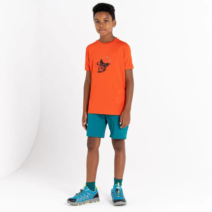 Dare 2b TShirts and Tops Amuse Graphic TShirt Trailblaze Red 8211 Kids
