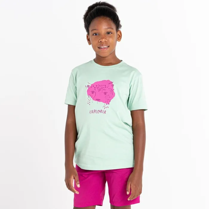 Dare 2b TShirts and Tops Trailblazer Graphic TShirt Grayed Jade 8211 Kids