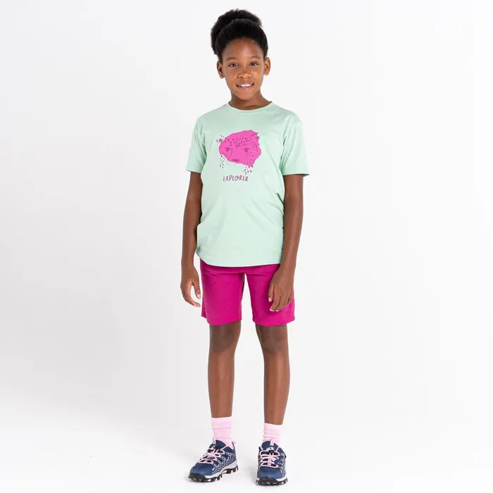 Dare 2b TShirts and Tops Trailblazer Graphic TShirt Grayed Jade 8211 Kids