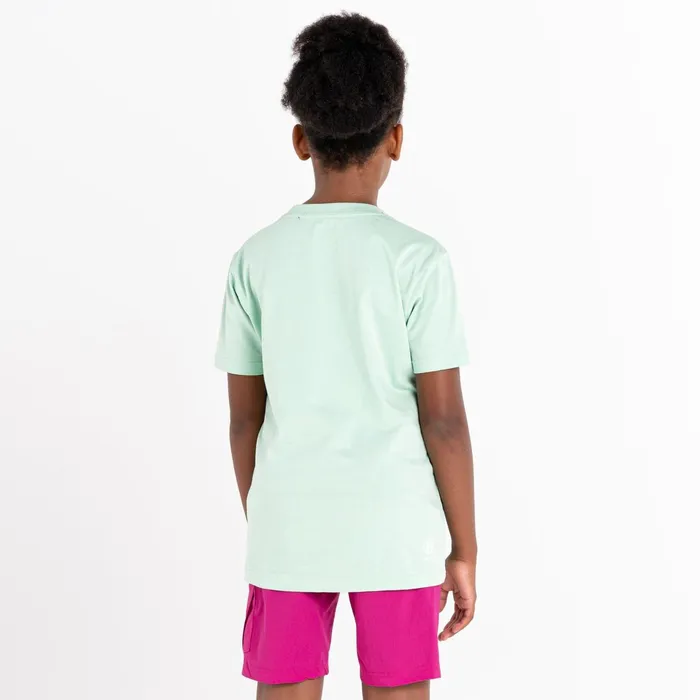 Dare 2b TShirts and Tops Trailblazer Graphic TShirt Grayed Jade 8211 Kids