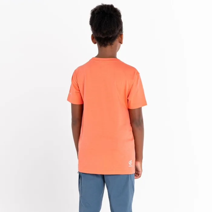 Dare 2b TShirts and Tops Trailblazer Graphic TShirt Neon Peach 8211 Kids