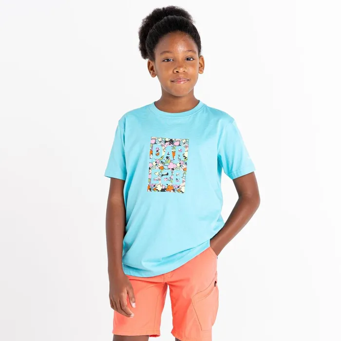 Dare 2b TShirts and Tops Trailblazer Graphic TShirt Sea Jet Blue 8211 Kids