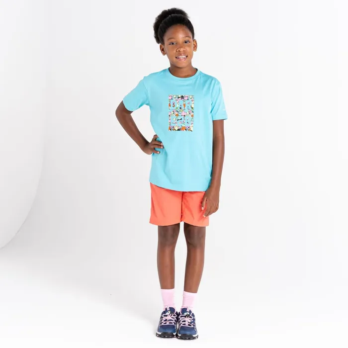 Dare 2b TShirts and Tops Trailblazer Graphic TShirt Sea Jet Blue 8211 Kids