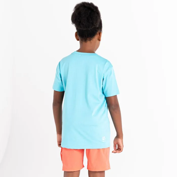 Dare 2b TShirts and Tops Trailblazer Graphic TShirt Sea Jet Blue 8211 Kids