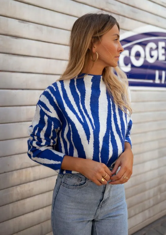 Easy Clothes Blue Amine Zebra Sweater Women039s Clothing Sweaters