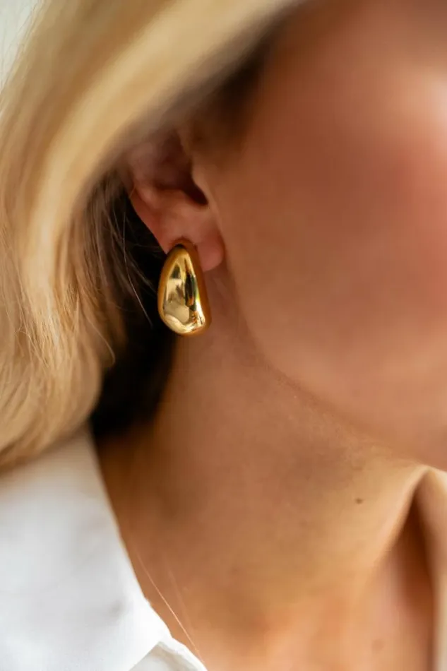 Easy Clothes Golden Guso Earrings Jewelry and Accessories Earrings