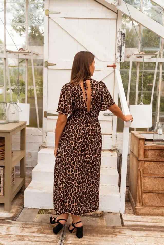 Easy Clothes Leopard Isidore Dress Women039s Clothing Dresses Easy Clothes Leopard Isidore Dress Women039s Clothing Dresses