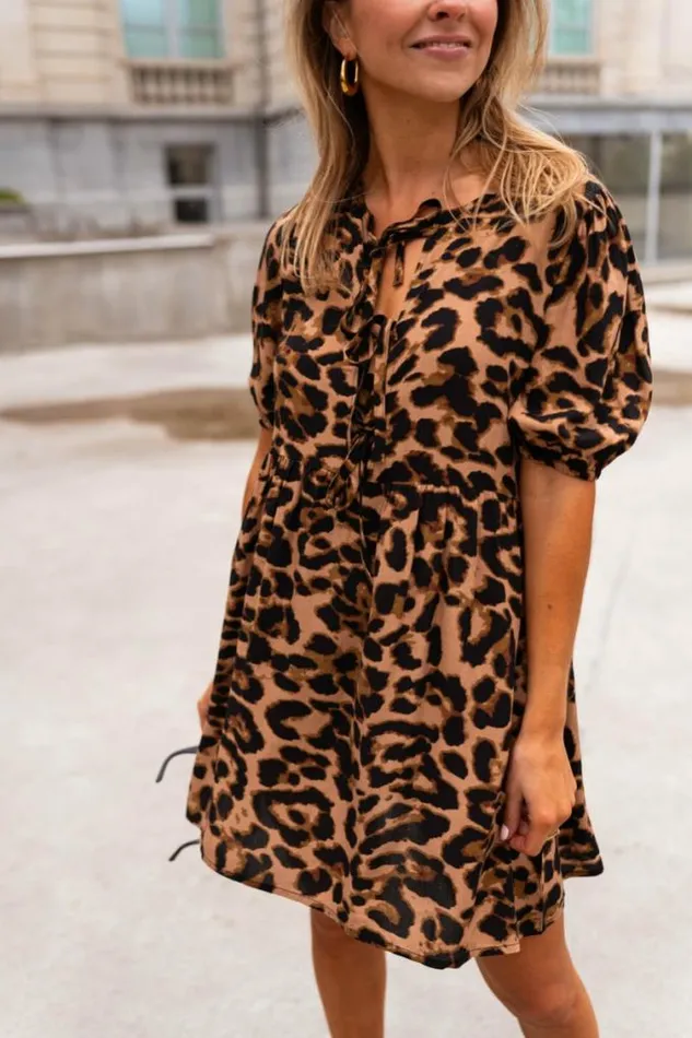 Easy Clothes Leopard Miras Dress Women039s Clothing Dresses Easy Clothes Leopard Miras Dress Women039s Clothing Dresses