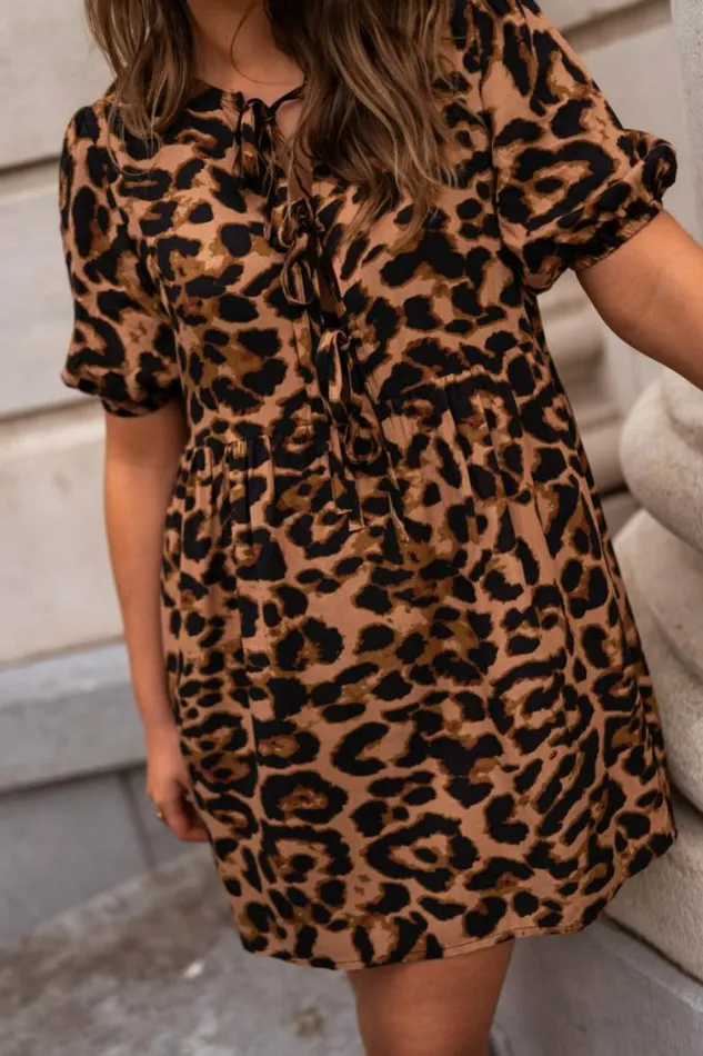 Easy Clothes Leopard Miras Dress Women039s Clothing Dresses Easy Clothes Leopard Miras Dress Women039s Clothing Dresses