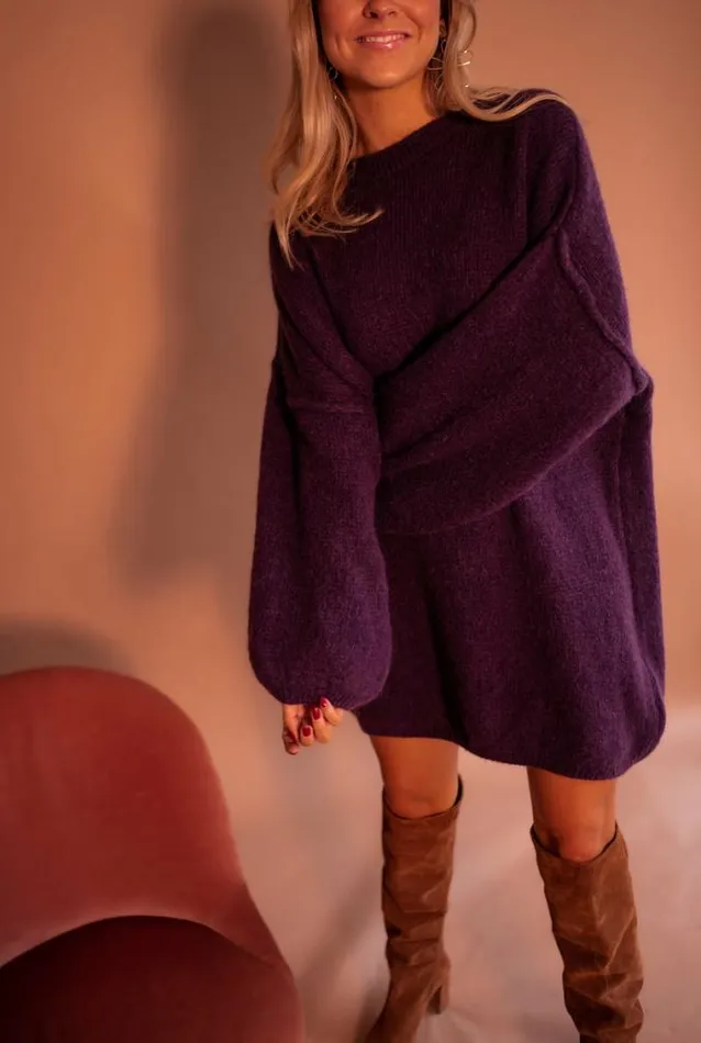 Easy Clothes Plum Elyas Sweater Dress Women039s Clothing Dresses