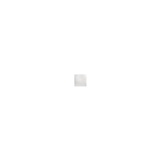 Ebrielle Silver Porvair Women Moda In Pelle Casual Shoes And Trainers