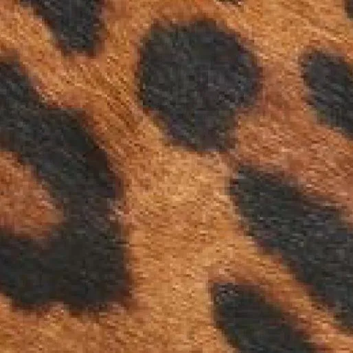 Gerri Leopard Leopard Pony Women Moda In Pelle Ankle Boots Gerri Leopard Leopard Pony Women Moda In Pelle Ankle Boots