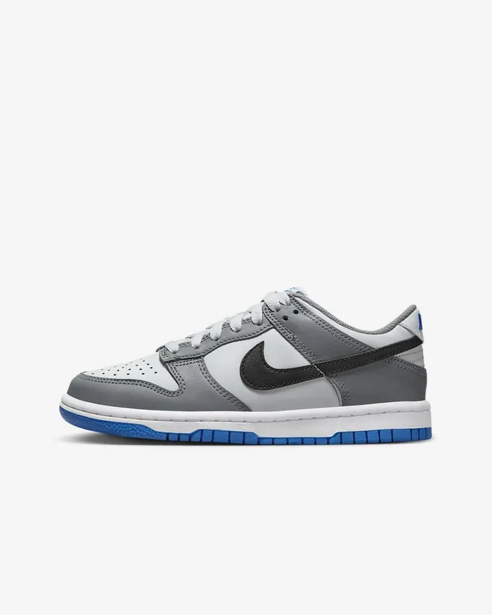 Kids Dunk Low Cool Greypure Platinumlight Photo Blueblack Nike Lifestyle
