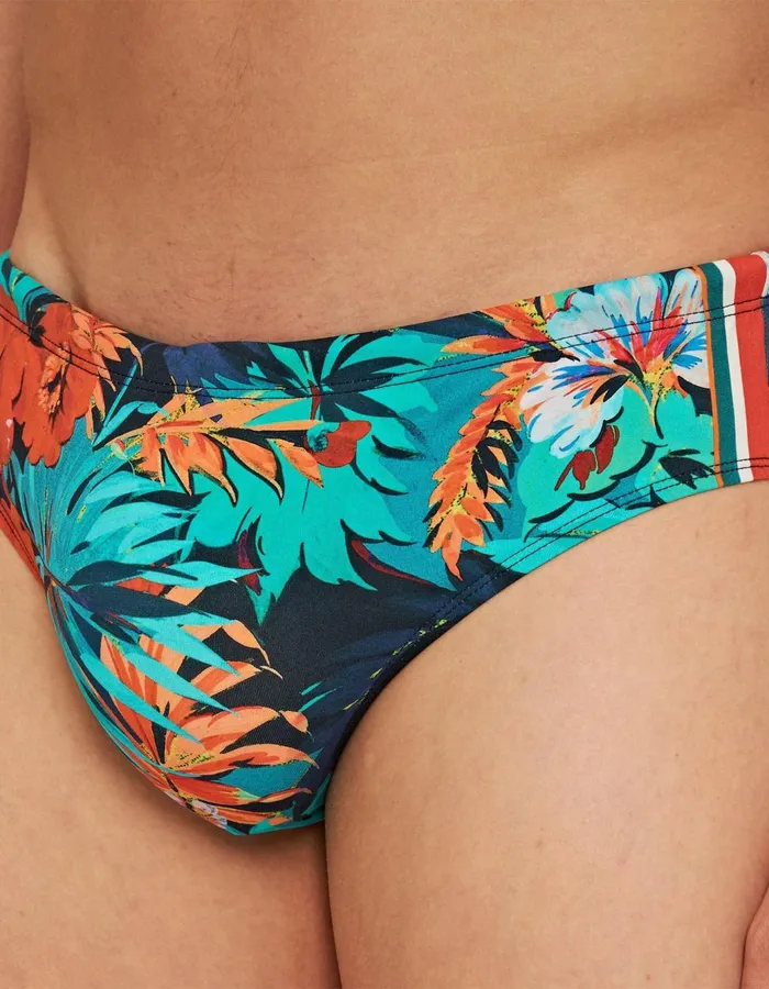 Men Orlebar Brown Swim Shorts Dachshund Multicolour