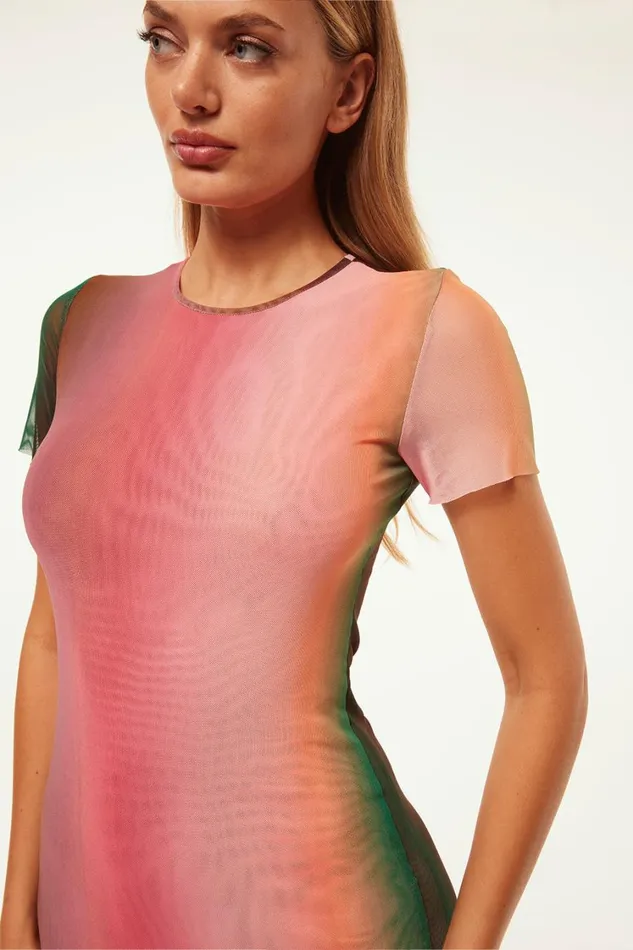 MISA Los Angeles Dresses Women VANESSA DRESS Cali Ombre