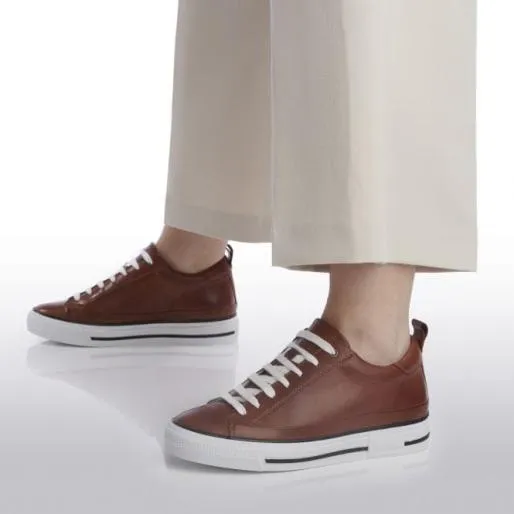 Sh Ilmore Tan Leather Women Moda In Pelle Casual Shoes And Trainers
