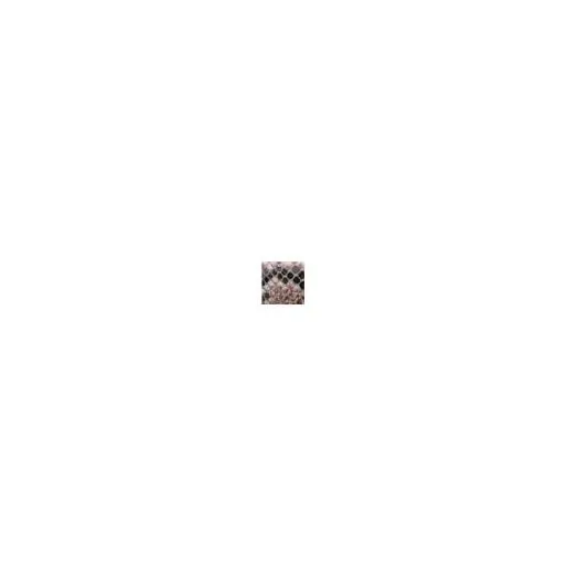 Willow Bag Natural Snake Print Leather Women Moda In Pelle Tote Bags